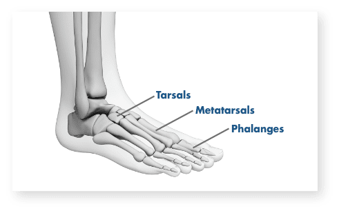 Pain in store my foot