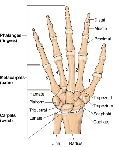 why my hand hurts